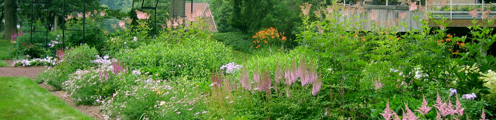 Garden of Herbs and Vegetables