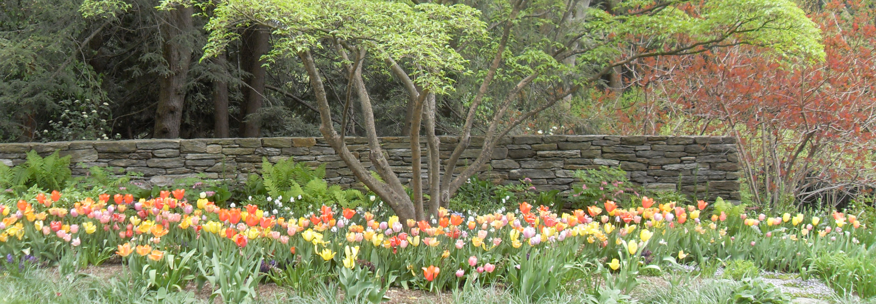 Perennial Gardeners