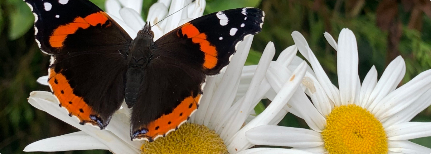 Perennial Gardeners